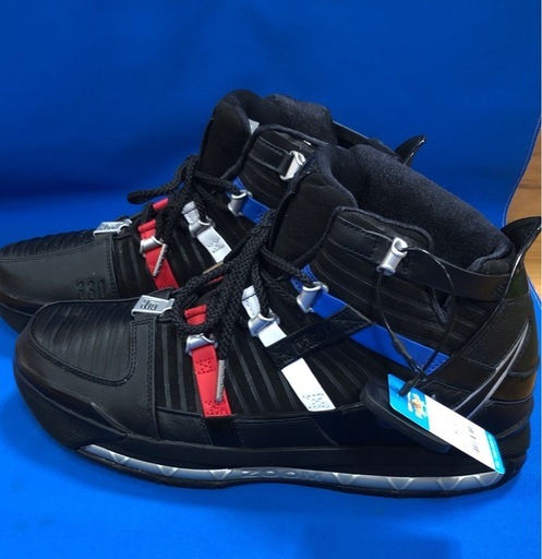 フォロワー限定割引有★【ジャングルジャングル岸和田店】スニーカー　ナイキ　NIKE　ZOOM　レブロン　3DO9354-001　28.