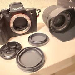 極美品】SONY α7 IV レンズキット バッテリー2個 RODEマイク付 (ねこ 