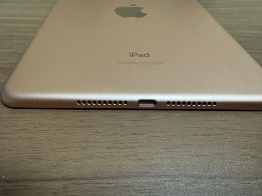 iPad mini5SIMフリー