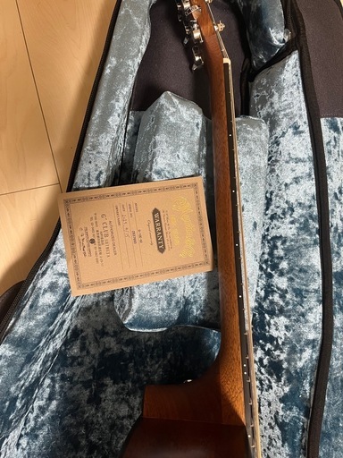 Martin D-10E   アコースティックギター