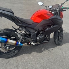 Z250の画像