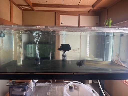 オーバーフロー水槽　大型水槽  アクリル水槽