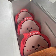 大学生です！仲良くしてください！