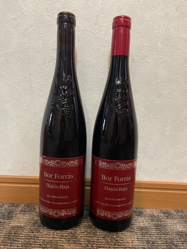 赤ワイン2本?Bor Forras 2019ボールフォーラス【2本セット】
