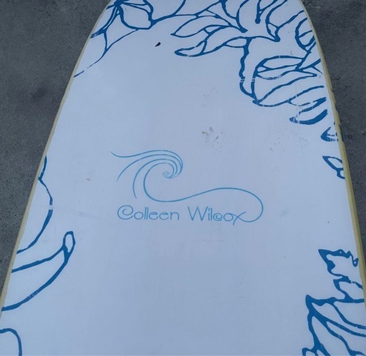 Colleen Wilcox Sea Skyソフトファンボード 千葉北手渡し限定 引越しの