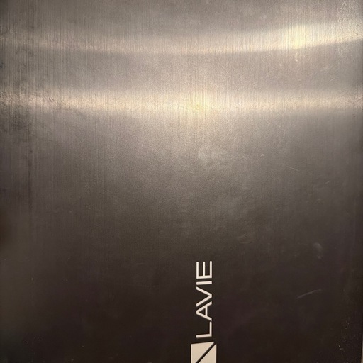 lavie ns300/r
