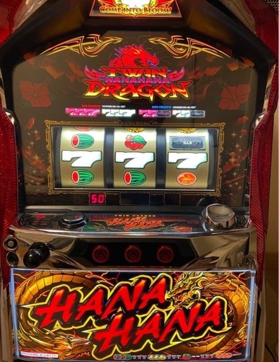 ツインドラゴンハナハナ (aki) 蒲郡の家電の中古あげます・譲ります