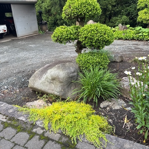 庭石あげます