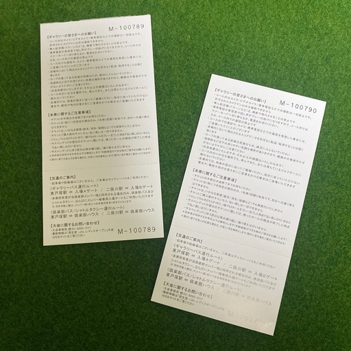①資生堂・JALレディースオープン　チケット（２枚）