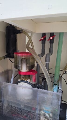 【海水魚水槽フルセット販売 