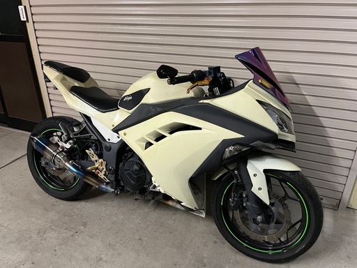 Ninja250 19895km セル1発始動 Kawasaki EX250L ニンジャ250 Special Edition セル始動 2016モデル