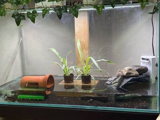 最終値下げです90cm GEXグラステリア900 イモリウムセット