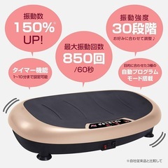 未使用 ボディスカルプチャー パワーウェーブミニ マット付 トレーニング 筋トレ フィットネス エクササイズマシン ブルブル振動マシン　Body Sculpture の画像
