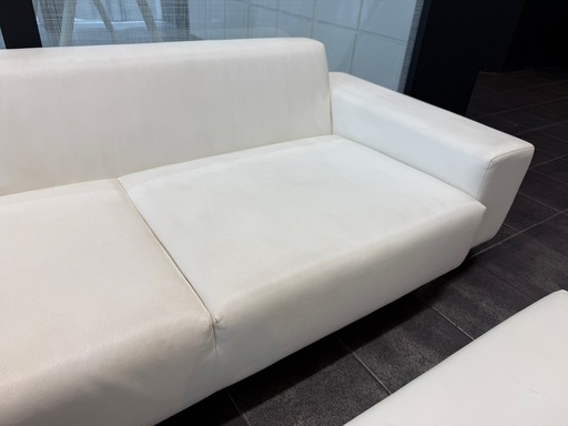 Noyes sofa100%　