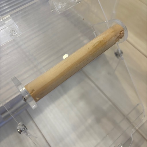 美品　小鳥用アクリルケージ　GEX コトリウム460-Ⅱ アクリル　ケージ　インコ　鳥かご
