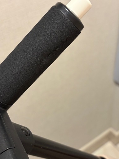 サイベックス　リベル　2023年購入　