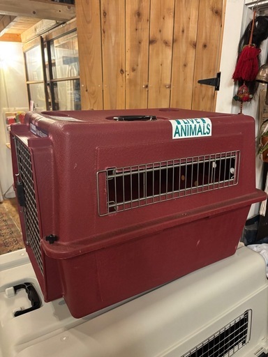 Petmate VARI KENNEL Medium バリケンネル Mサイズ ハードクレート 犬用 ペットメイト