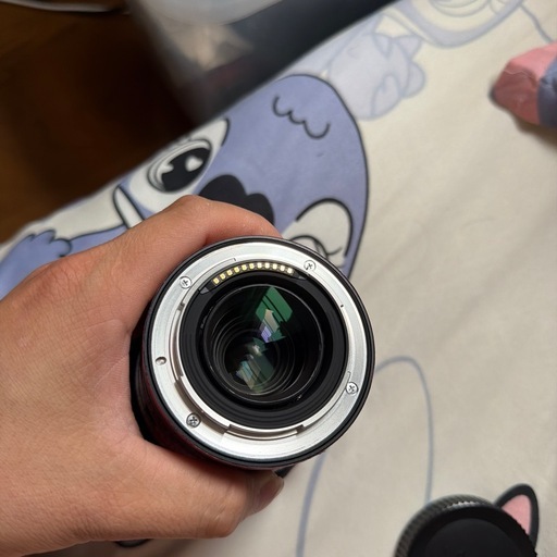 Nikon NIKKOR Z 24-200mm F4-6.3 VR