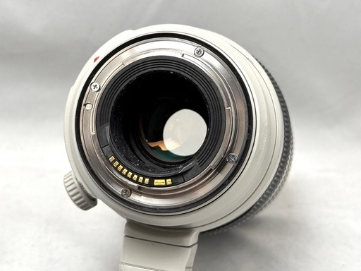 Canon EF 100-400mm F4-5.6 L IS Ⅱ USM
