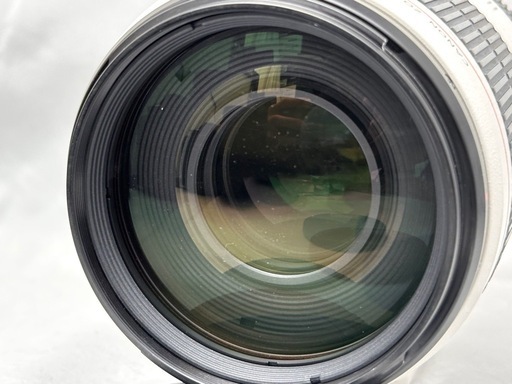 Canon EF 100-400mm F4-5.6 L IS Ⅱ USM