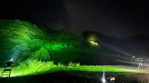 HIDライトトラップ灯火採集