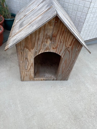 犬小屋