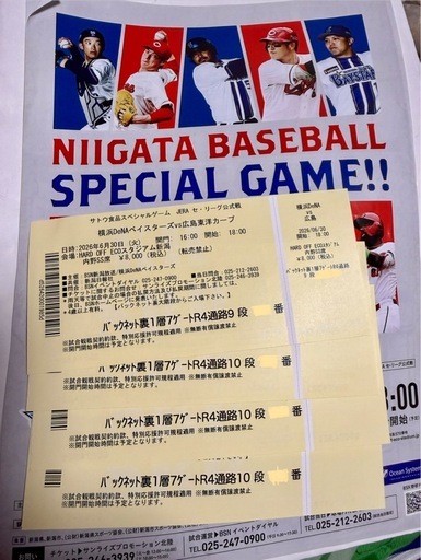 新潟ハードオフエコスタジアム　6月30日 横浜vs広島　バックネット1枚　定価8,000円 3列目　完売席 