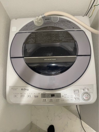 【美品】SHARP洗濯機8kg＋Panasonic冷蔵庫168Lセット 2019年製 動作良好