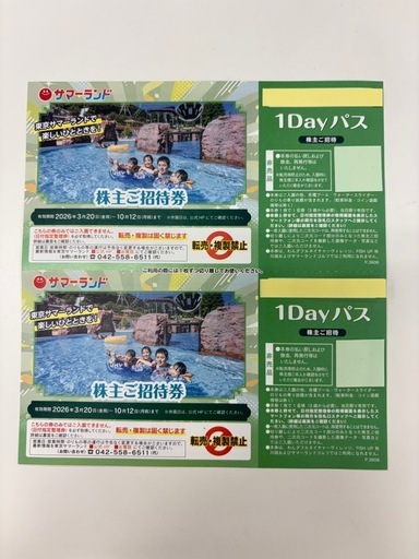 東京サマーランド 1Dayパス 2枚セット