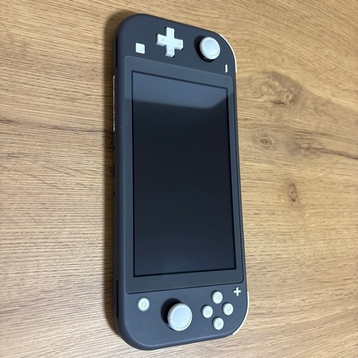 任天堂Switch lite  本体と充電器 