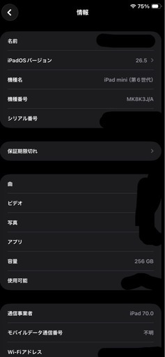 iPad mini 第6世代 Cellular 256GB

