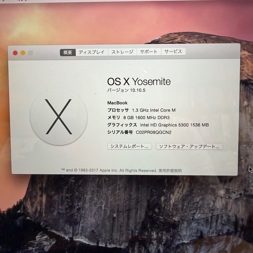 Apple　MacBook Retina 12-inch Early 2015  ゴールド 美品