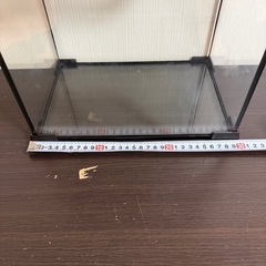 爬虫類ゲージ、ヒーター、温度計セット(20キロ圏内お届け行けます！)の画像