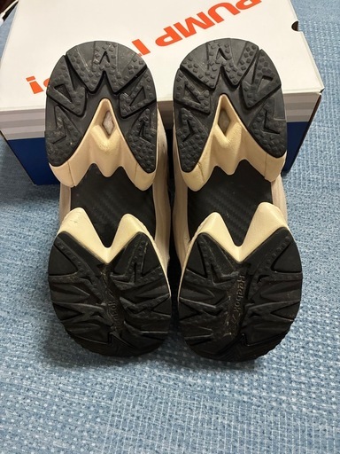 Reebokインスタポンプフューリー95　27.5