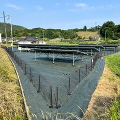 【請負１７万円】広島県三次市太陽光草刈り・シート張り作業！の画像