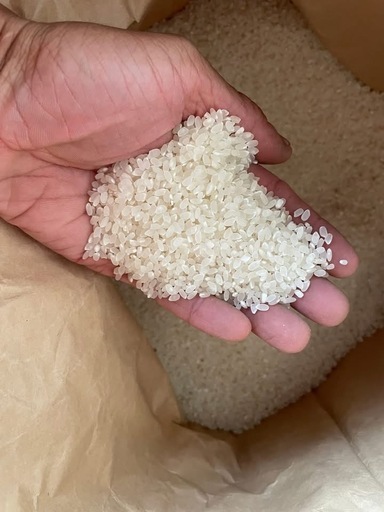 令和7年度産玄米30キロ　あきさかり
