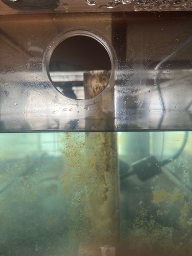 オーバーフロー水槽　大型水槽  アクリル水槽