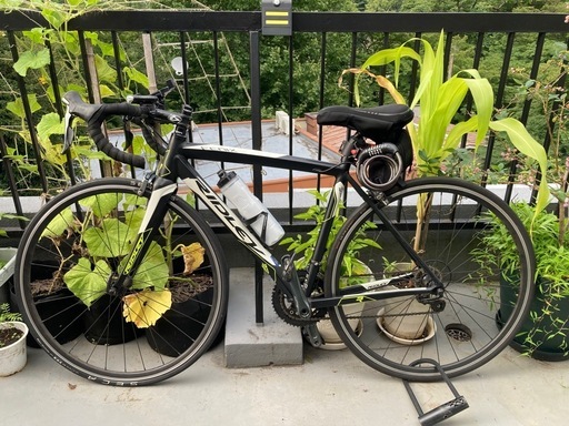 RIDLEY FENIX A