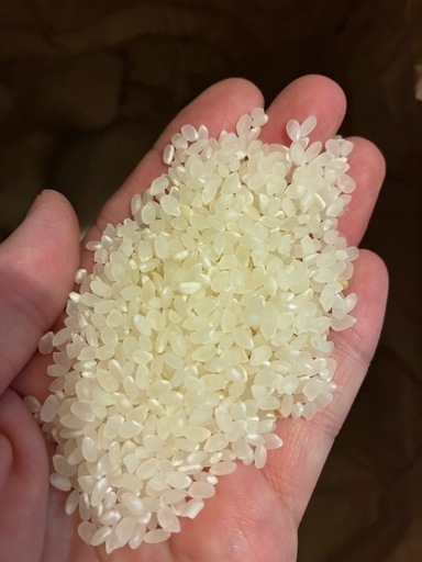 令和7年　茨城県産　お米　約16.１キロ