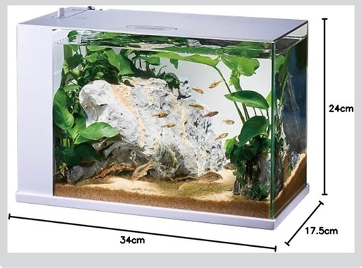新品GEX AQUARIUM ラクテリア　ホワイト