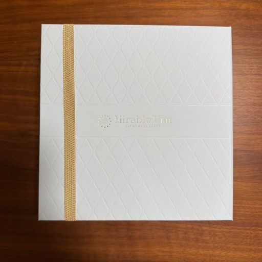 新品未使用　Mirable ULTLA FINE MIST シャワーヘッド 