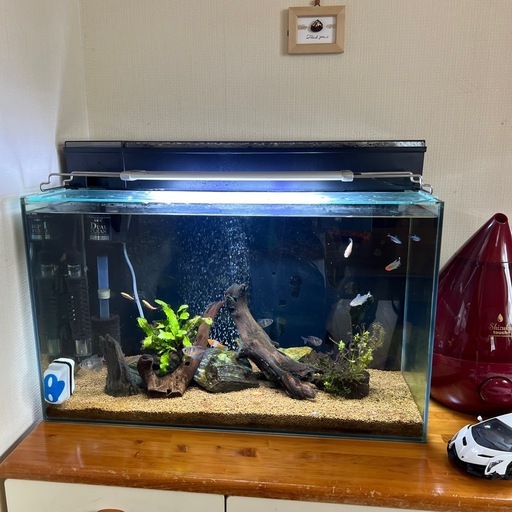 熱帯魚 水槽  全部セット