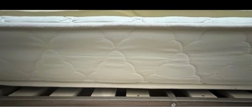 美品　　　クイーンベット　