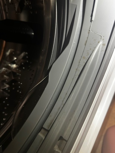Panasonicななめドラム洗濯乾燥機NA-VG750L 温水