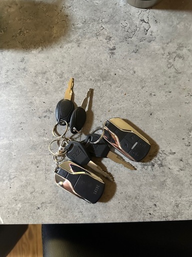 電動自転車