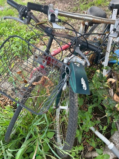 自転車