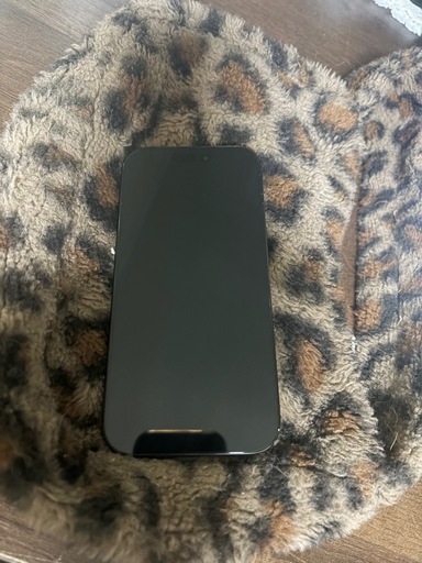 iPhone 16Pro