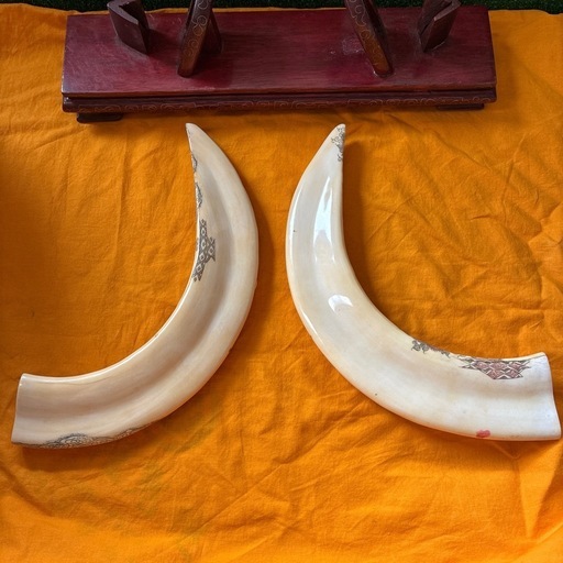 【最高級・中国美術】河馬（カバ）牙 七福神彫刻 一対 木製台付 1300g 山口作 極彩色象牙風細密彫刻 金運 開運 グッズ カバ 牙