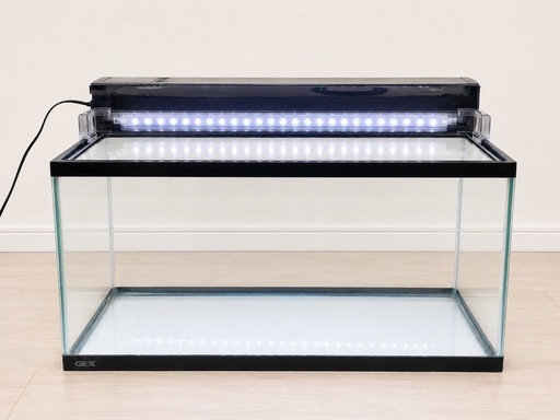 Amazon | ジェックス マリーナ600水槽&フィルターセット 黒枠ガラス GEX 60cm水槽セット LEDライト・上部フィルター付き おまけあり！ 