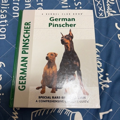 german pinsher